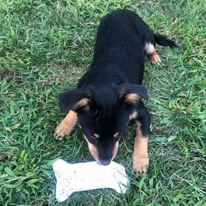 Meet your Posher, Shauna